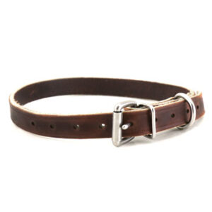 3/4″ Flat Leather Collar