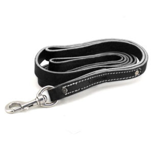 Leather Two Handle Leash